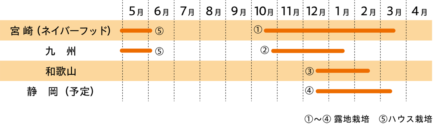 栽培時期のグラフ