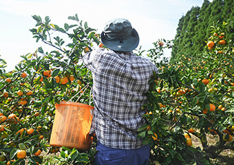 生産事業